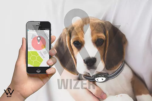 ردیاب قلاده ای