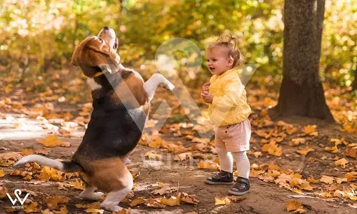 ردیاب شخصی محافظت از کودکان